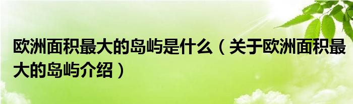 欧洲面积最大的岛屿是什么(关于欧洲面积最大的岛屿介绍)