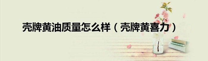 壳牌黄油质量怎么样(壳牌黄喜力)