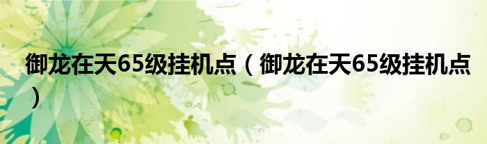 御龙在天65级挂机点(御龙在天65级挂机点)