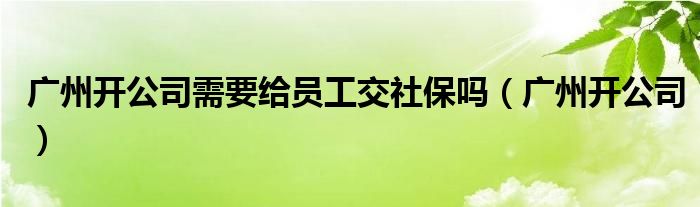 广州开公司需要给员工交社保吗(广州开公司)