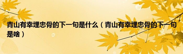 青山有幸埋忠骨的下一句是什么(青山有幸埋忠骨的下一句是啥)