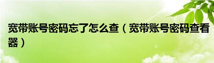 宽带账号密码忘了怎么查(宽带账号密码查看器)
