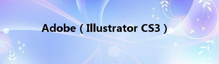 Adobe(Illustrator CS3)