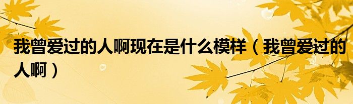 我曾爱过的人啊现在是什么模样（我曾爱过的人啊）