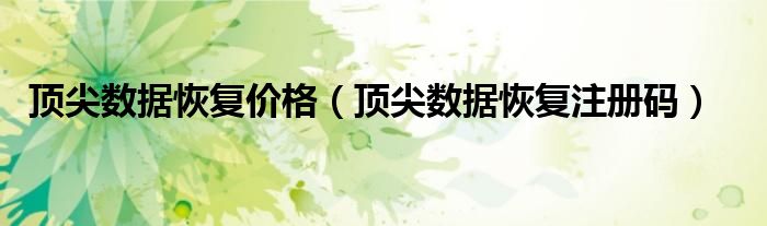 顶尖数据恢复价格(顶尖数据恢复注册码)