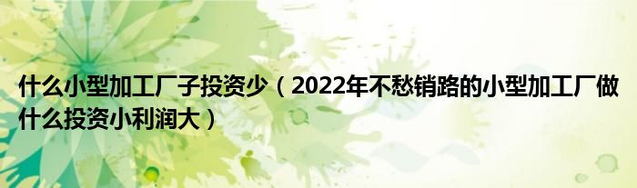 什么小型加工厂子投资少(2022年不愁销路的小型加工厂做什么投资小利润大)