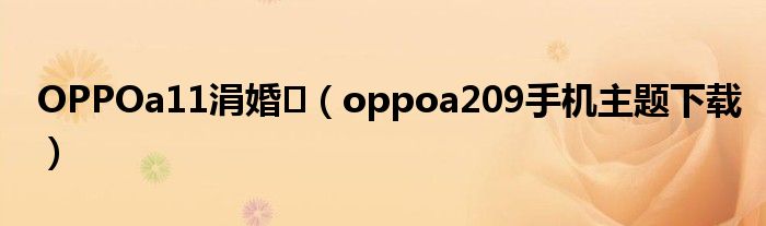 OPPOa11涓婚（oppoa209手机主题下载）