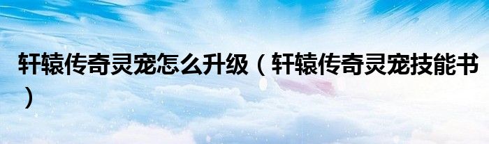 轩辕传奇灵宠怎么升级(轩辕传奇灵宠技能书)
