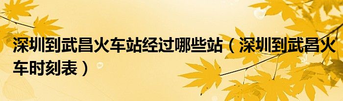 深圳到武昌火车站经过哪些站(深圳到武昌火车时刻表)
