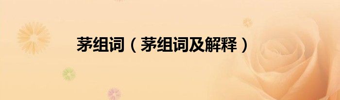 茅组词（茅组词及解释）