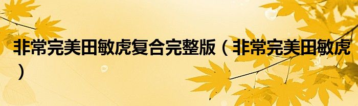非常完美田敏虎复合完整版(非常完美田敏虎)