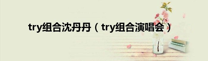 try组合沈丹丹(try组合演唱会)