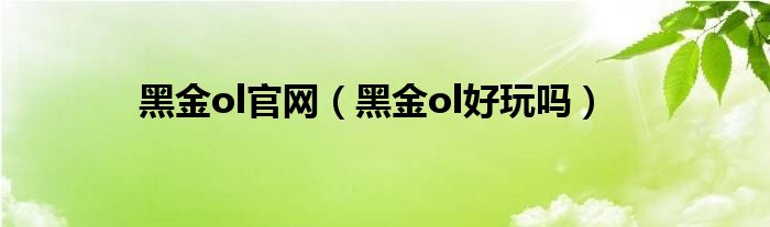 黑金ol官网(黑金ol好玩吗)