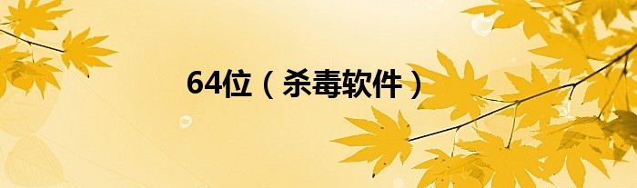 64位（杀毒软件）