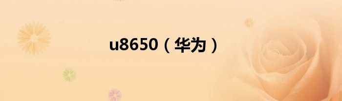 u8650(华为)