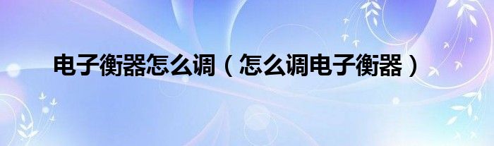 电子衡器怎么调(怎么调电子衡器)