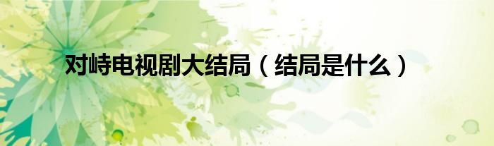 对峙电视剧大结局(结局是什么)