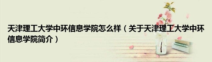 天津理工大学中环信息学院怎么样(关于天津理工大学中环信息学院简介)
