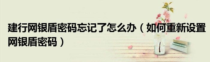 建行网银盾密码忘记了怎么办(如何重新设置网银盾密码)