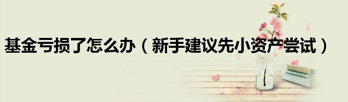 基金亏损了怎么办(新手建议先小资产尝试)