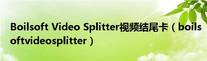 Boilsoft Video Splitter视频结尾卡(boilsoftvideosplitter)