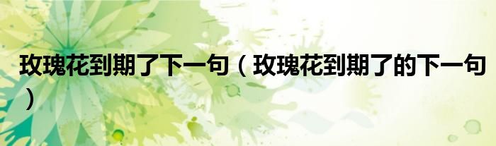 玫瑰花到期了下一句(玫瑰花到期了的下一句)