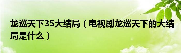 龙巡天下35大结局(电视剧龙巡天下的大结局是什么)