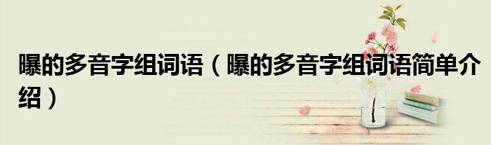 曝的多音字组词语(曝的多音字组词语简单介绍)