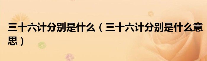 三十六计分别是什么(三十六计分别是什么意思)