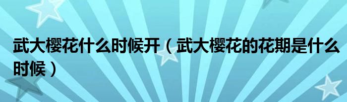武大樱花什么时候开(武大樱花的花期是什么时候)