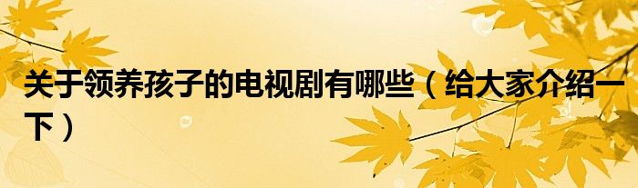 关于领养孩子的电视剧有哪些(给大家介绍一下)