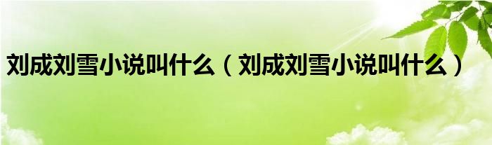 刘成刘雪小说叫什么(刘成刘雪小说叫什么)