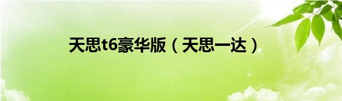 天思t6豪华版(天思一达)