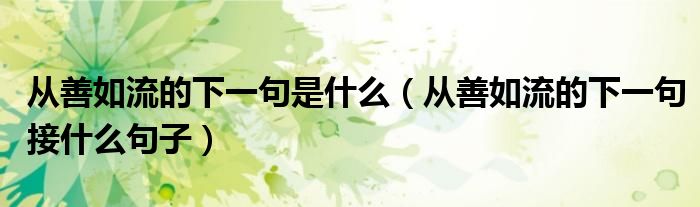 从善如流的下一句是什么(从善如流的下一句接什么句子)