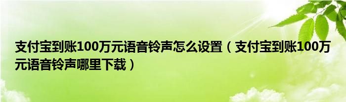 支付宝到账100万元语音铃声怎么设置(支付宝到账100万元语音铃声哪里下载)