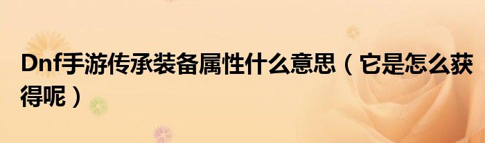 Dnf手游传承装备属性什么意思(它是怎么获得呢)