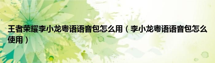 王者荣耀李小龙粤语语音包怎么用(李小龙粤语语音包怎么使用)