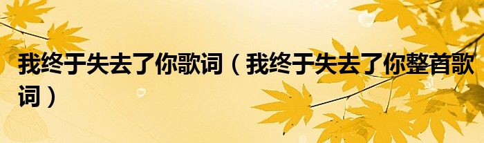 我终于失去了你歌词(我终于失去了你整首歌词)