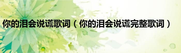 你的泪会说谎歌词(你的泪会说谎完整歌词)