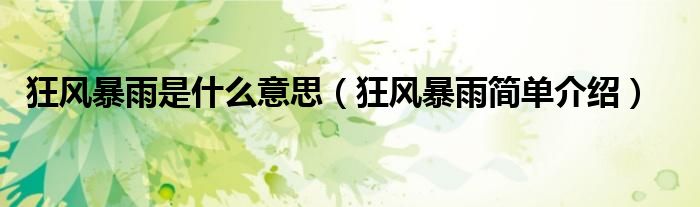 狂风暴雨是什么意思(狂风暴雨简单介绍)