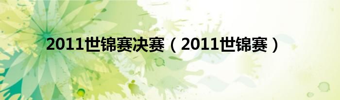 2011世锦赛决赛(2011世锦赛)