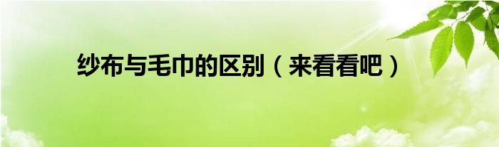 纱布与毛巾的区别(来看看吧)