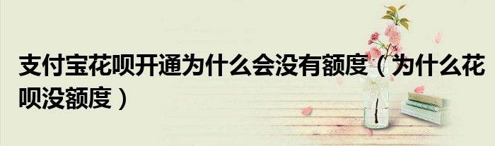 支付宝花呗开通为什么会没有额度(为什么花呗没额度)