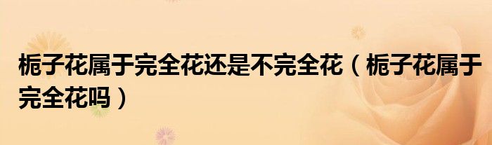 栀子花属于完全花还是不完全花(栀子花属于完全花吗)