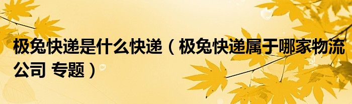 极兔快递是什么快递(极兔快递属于哪家物流公司 专题)