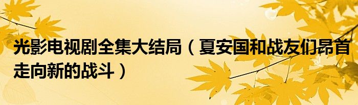 光影电视剧全集大结局(夏安国和战友们昂首走向新的战斗)