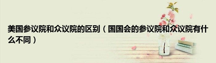 美国参议院和众议院的区别(国国会的参议院和众议院有什么不同)