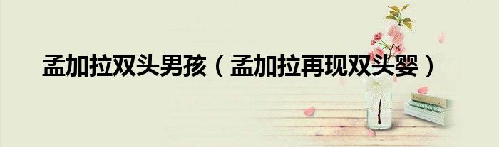 孟加拉双头男孩(孟加拉再现双头婴)