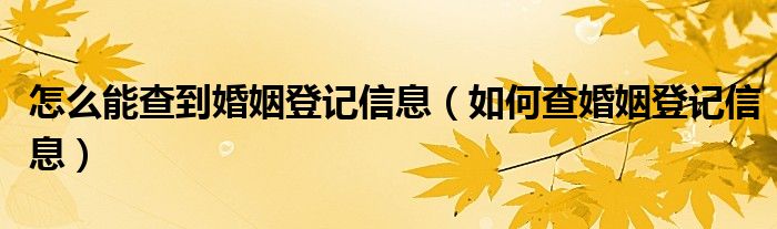 怎么能查到婚姻登记信息(如何查婚姻登记信息)