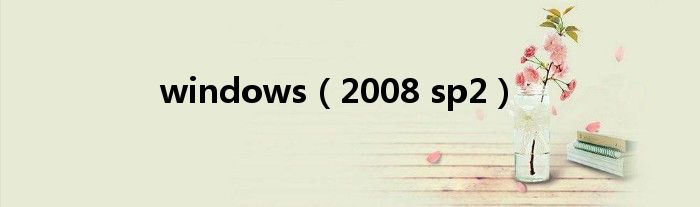 windows(2008 sp2)
